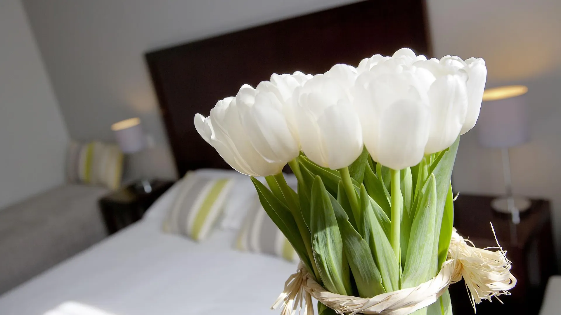 Hotel Relais Acropolis Nice