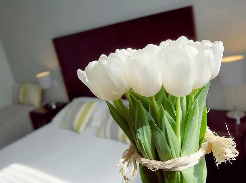 Hotel Relais Acropolis Nice 3*,  France